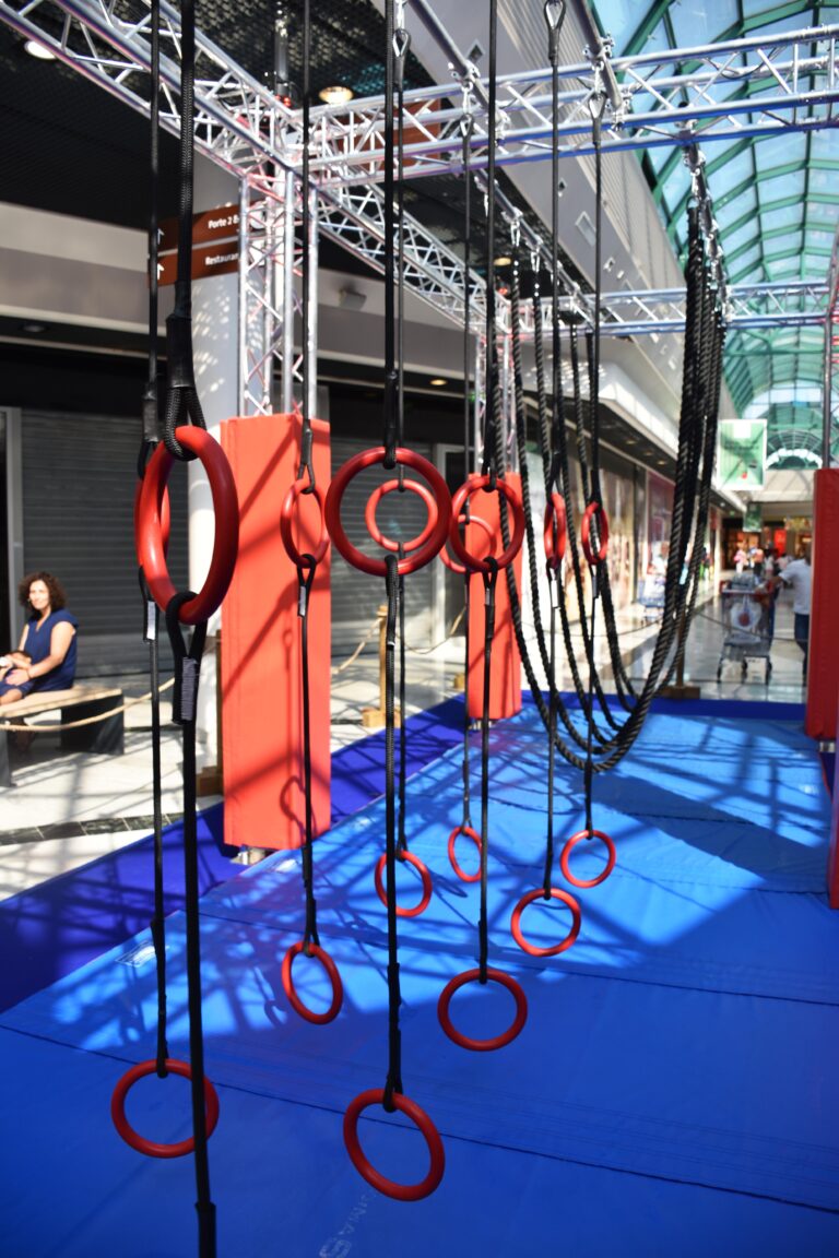 Location de parcours ninja à Lyon : l’obstacle des anneaux